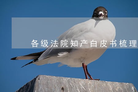 各级法院知产白皮书梳理 各级法院知产白皮书梳理