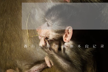 各行信用卡逾期不良记录表 各行信用卡逾期不良记录表