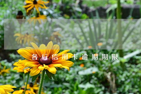 各行信用卡逾期期限 各行信用卡逾期期限