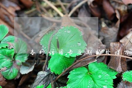 各行信用卡逾期的处理方案 各行信用卡逾期的处理方案