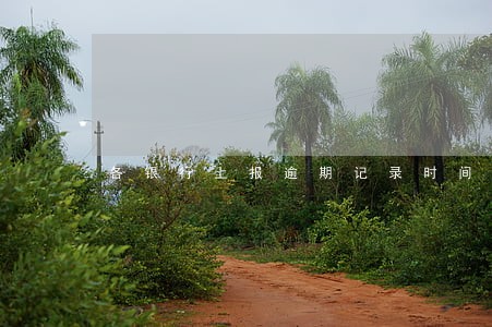 各银行上报逾期记录时间 各银行上报逾期记录时间
