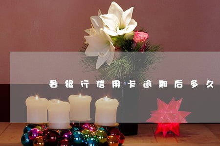 各银行信用卡逾期后多久上征信 各银行信用卡逾期后多久上征信