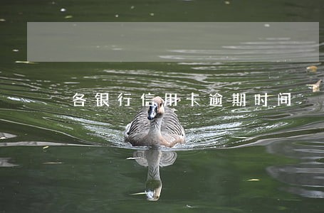 各银行信用卡逾期时间 各银行信用卡逾期时间