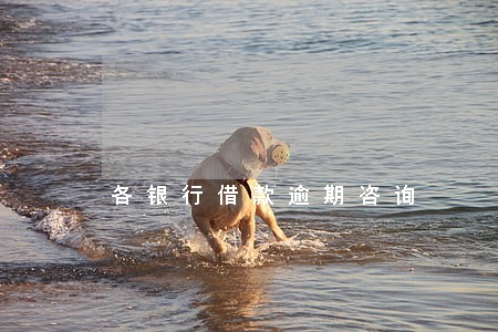 各银行借款逾期咨询 各银行借款逾期咨询