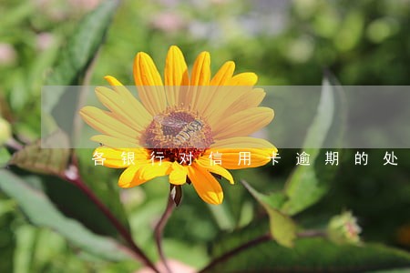 各银行对信用卡逾期的处理方式 各银行对信用卡逾期的处理方式
