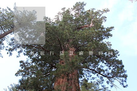 各银行贷款逾期时间