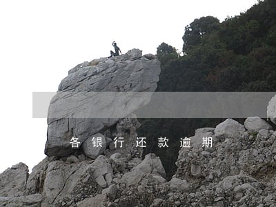 各银行还款逾期 各银行还款逾期