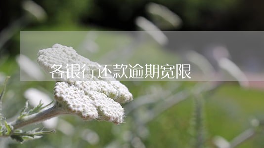 各银行还款逾期宽限 各银行还款逾期宽限