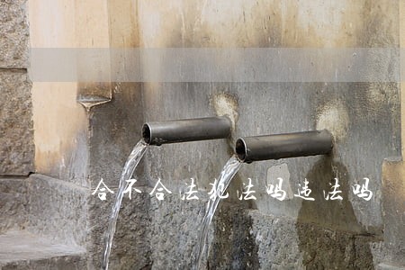 合不合法犯法吗违法吗