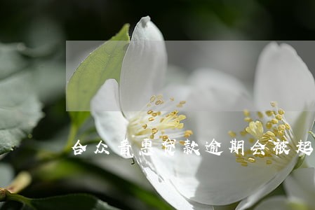 合众普惠贷款逾期会被起诉吗 合众普惠贷款逾期会被起诉吗