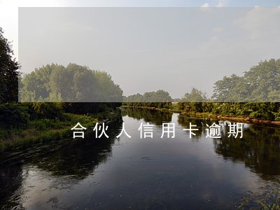 合伙人信用卡逾期 合伙人信用卡逾期