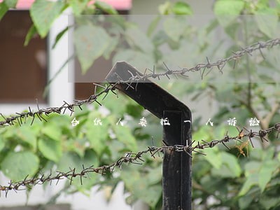 合伙人委托一人诉讼
