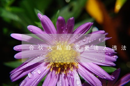 合伙人私自变更法人违法吗