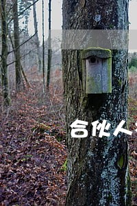 合伙人被法院强制执行份额后被除名 合伙人被法院强制执行份额后被除名