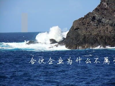 合伙企业为什么不属于法人