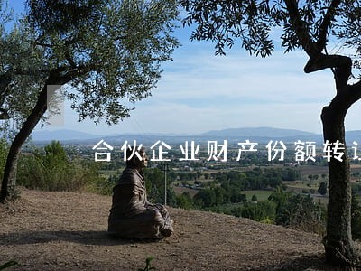 合伙企业财产份额转让纠纷律师 合伙企业财产份额转让纠纷律师
