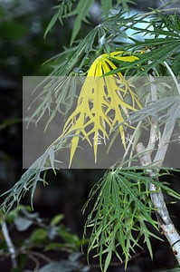 合伙纠纷找律师要多少钱 合伙纠纷找律师要多少钱