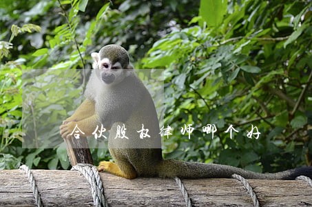 合伙股权律师哪个好 合伙股权律师哪个好