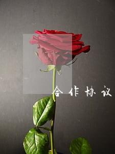 合作协议法律意见书