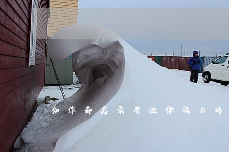 合作备忘录有法律效力吗 合作备忘录有法律效力吗