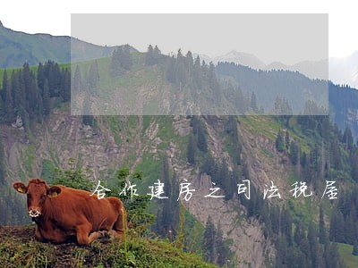 合作建房之司法税屋 合作建房之司法税屋