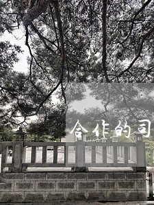 合作的司法解释