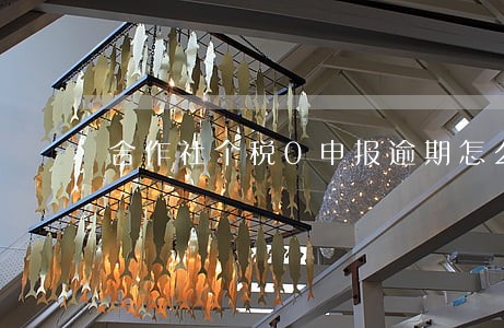 合作社个税0申报逾期怎么办 合作社个税0申报逾期怎么办