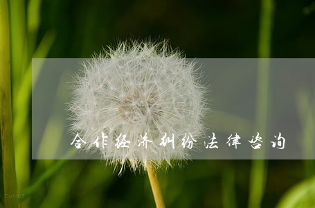 合作经济纠纷法律咨询 合作经济纠纷法律咨询