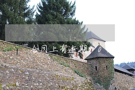 合同上有逾期90天免赔