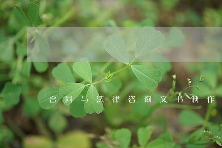 合同与法律咨询文书制作
