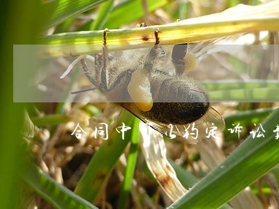 合同中可以约定诉讼费费 合同中可以约定诉讼费费