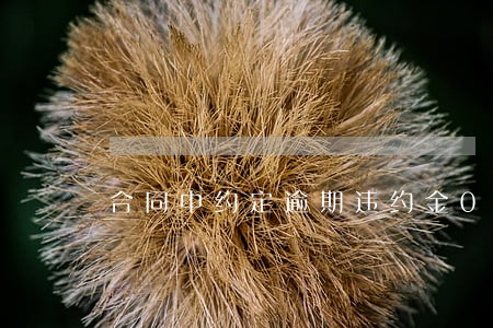 合同中约定逾期违约金0 合同中约定逾期违约金0