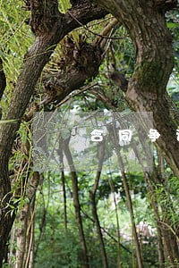 合同争议律师价格放心托付 合同争议律师价格放心托付