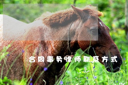 合同事务律师联系方式