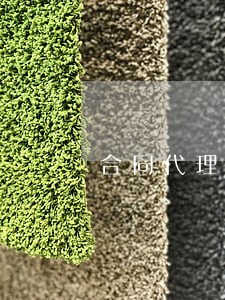 合同代理人能否作为诉讼主体 合同代理人能否作为诉讼主体