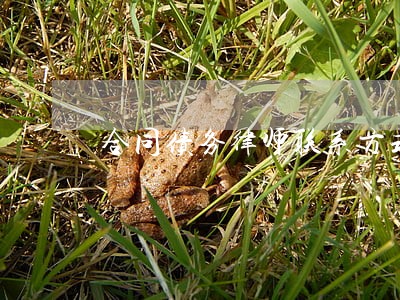 合同债务律师联系方式 合同债务律师联系方式
