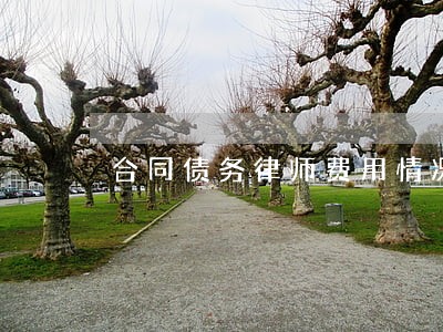 合同债务律师费用情况 合同债务律师费用情况