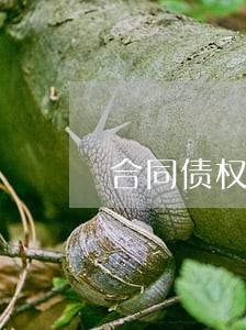 合同债权债务专业律师