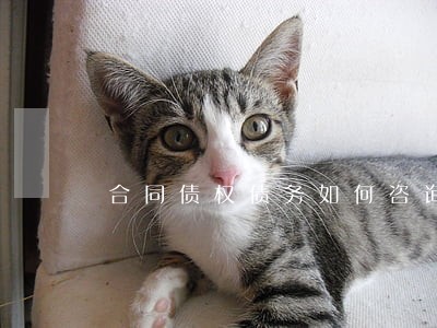 合同债权债务如何咨询律师 合同债权债务如何咨询律师