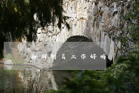合同制员工作好吗