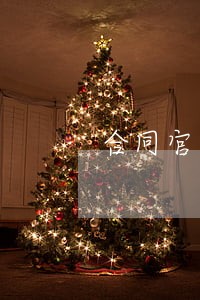 合同官司律师介绍 合同官司律师介绍