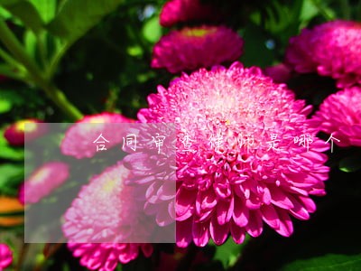 合同审查律师是哪个 合同审查律师是哪个