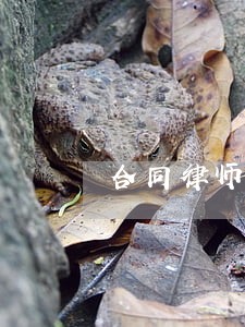 合同律师在线咨询电话 合同律师在线咨询电话