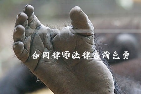 合同律师法律咨询免费 合同律师法律咨询免费