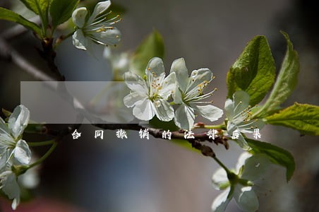 合同撤销的法律后果 合同撤销的法律后果