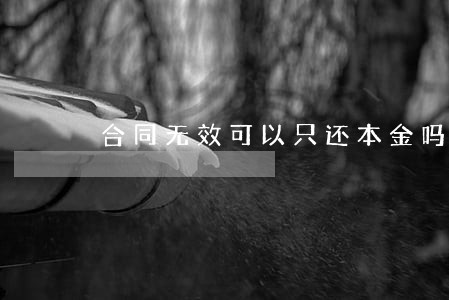 合同无效可以只还本金吗 合同无效可以只还本金吗