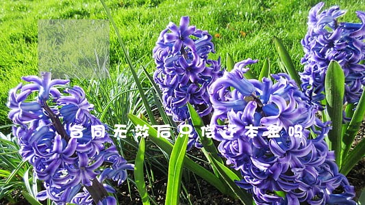 合同无效后只偿还本金吗 合同无效后只偿还本金吗