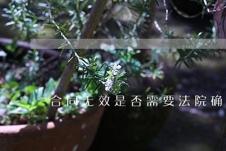 合同无效是否需要法院确认