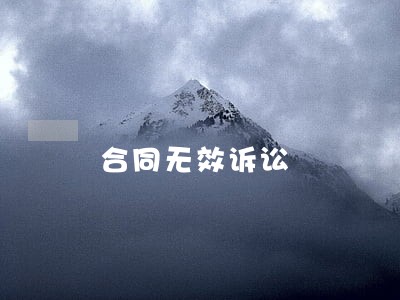 合同无效诉讼 合同无效诉讼