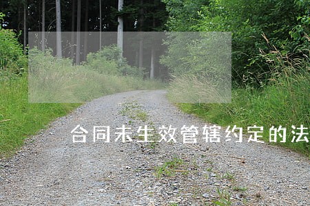 合同未生效管辖约定的法院是哪里 合同未生效管辖约定的法院是哪里